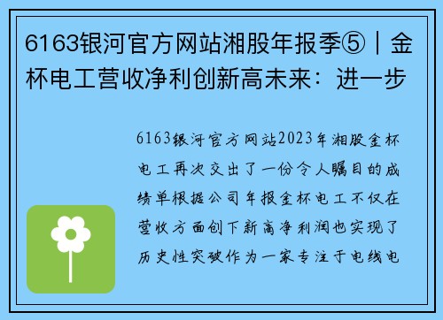6163银河官方网站湘股年报季⑤｜金杯电工营收净利创新高未来：进一步聚焦线缆业务 - 副本